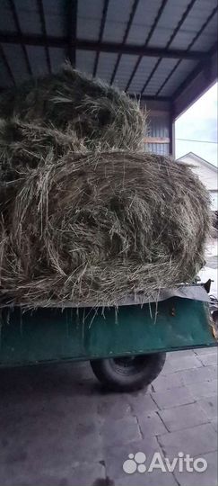 Сено