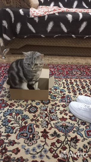 Вязка