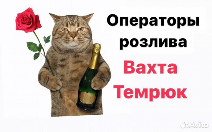 Разнорабочие вахтовый метод