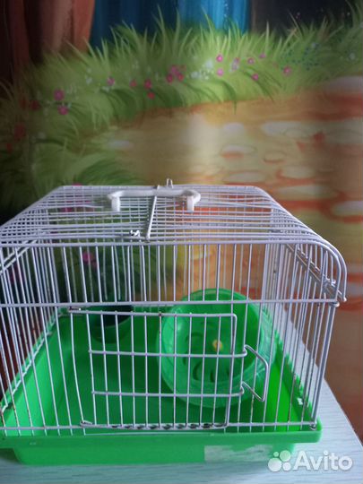 Клетка для джунгарского хомяка