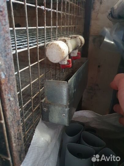 Клетка для перепелов 4-ярусная