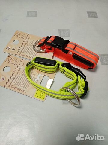 LED-ошейники для маленьких пород собак