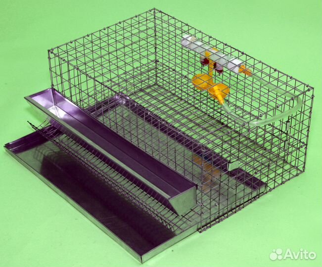 Клетка для перепелов на 15-20 голов