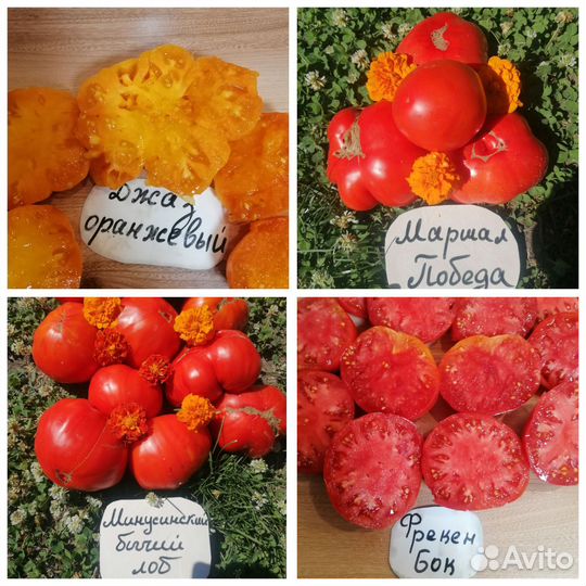 Семена сортовых крупноплодные томатов