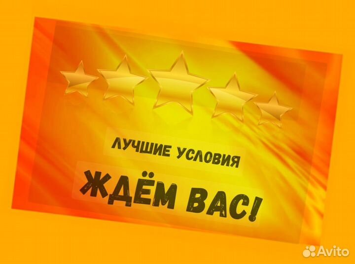 Упаковщик на склад Еженедельные выплаты Без опыта