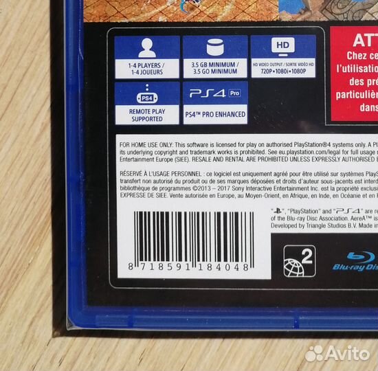 Aerea Collector's Edition PS4 (рус.субт.)