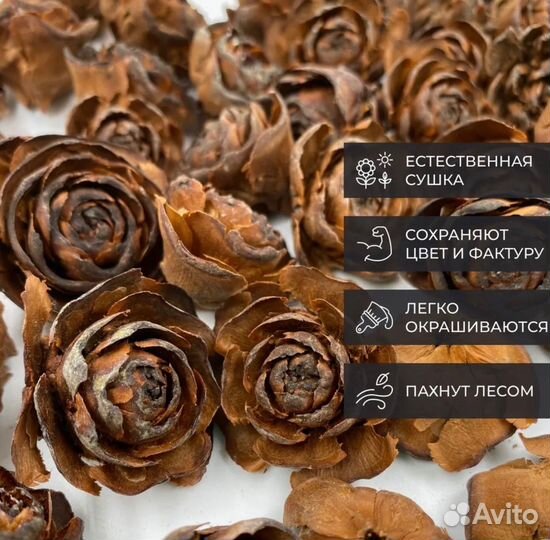 Шишка-розочка Кедр гималайский