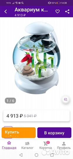 Аквариум Cascade Tetra