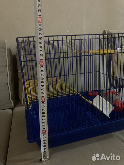 Клетка для грызунов