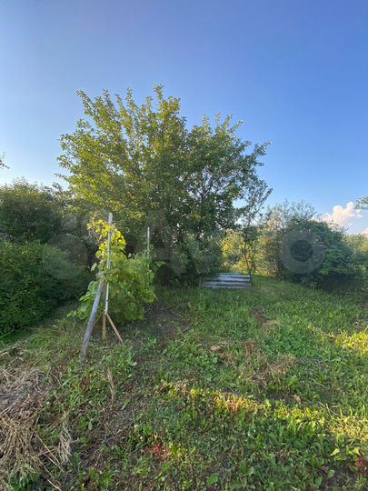 Дом 59,7 м² на участке 30 сот.