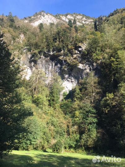 Экскурсия в Абхазию Золотое Кольцо ежедневно