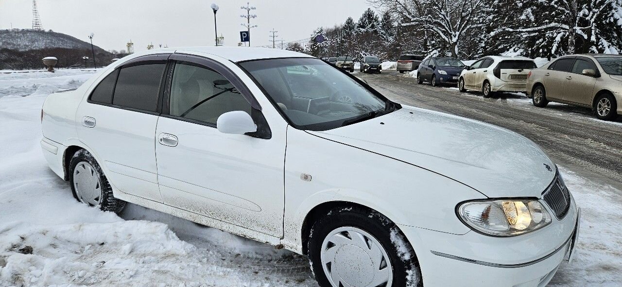 Nissan Bluebird Sylphy: фото из отзыва