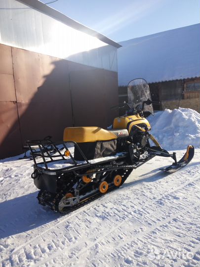 Dingo T150 2015