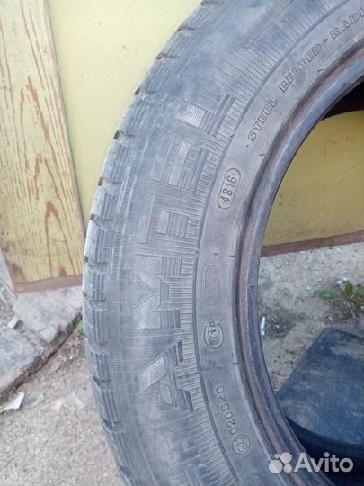 Amtel Planet DC 195/65 R15