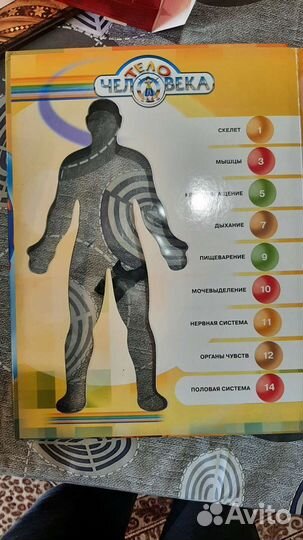 Тело человека книга