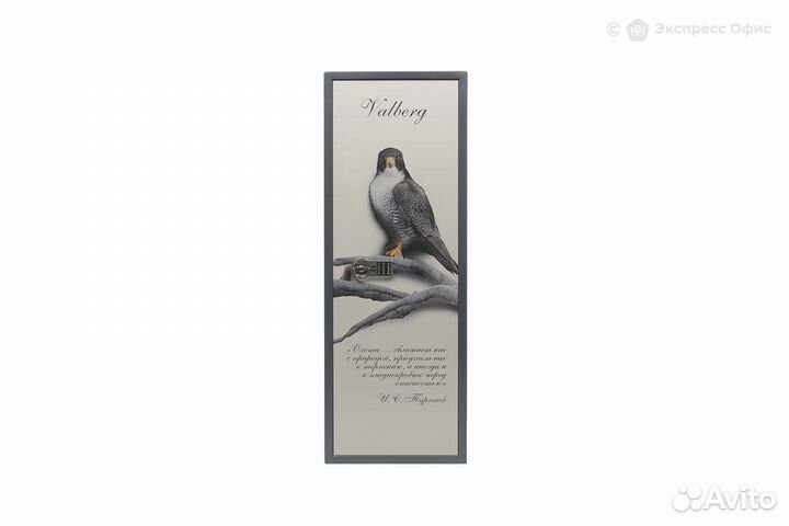 Оружейный сейф Valberg Сапсан-4 EL Print