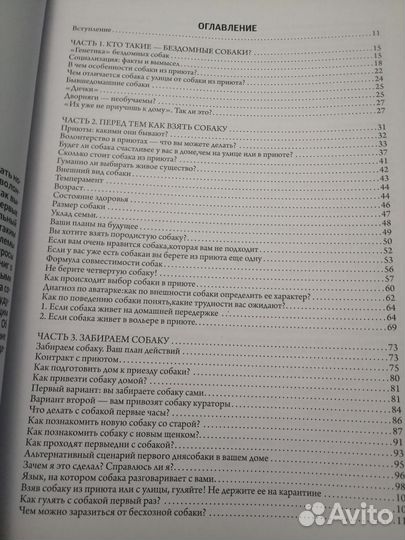 Новая жизнь бездомной собаки