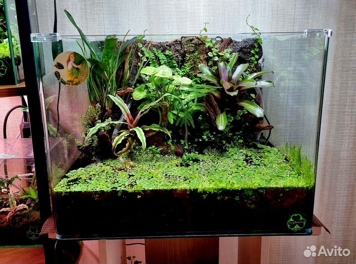 Флорариум/ палюдариум