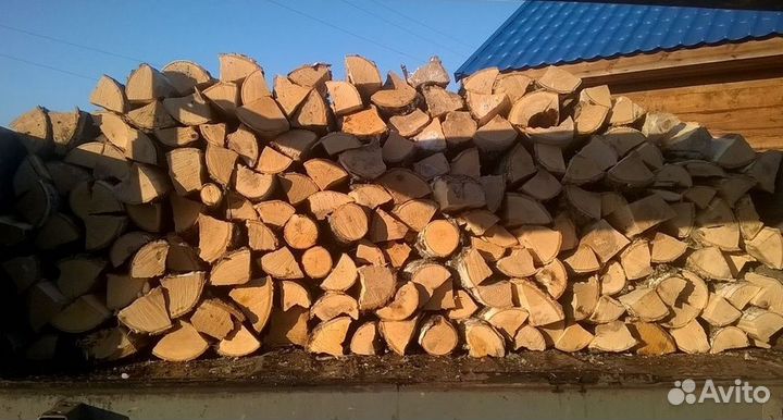 Дрова береза