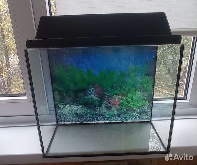 Аквариум
