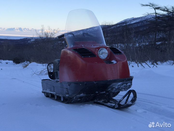 Буран (барс)