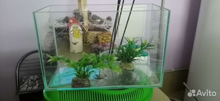 Аквариум