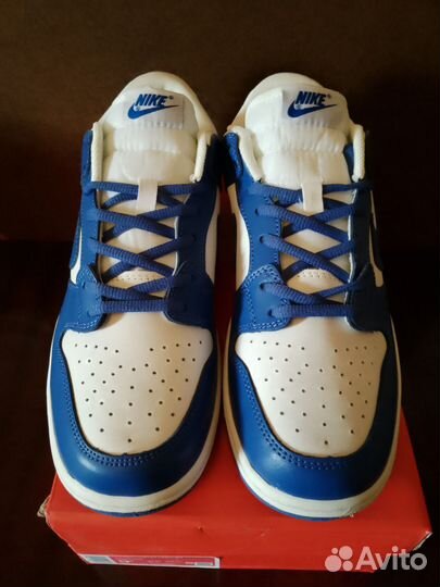 Кроссовка Nike Sb Dunk Low мужская