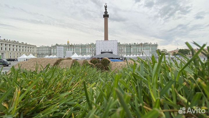 Рулонный газон от производителя