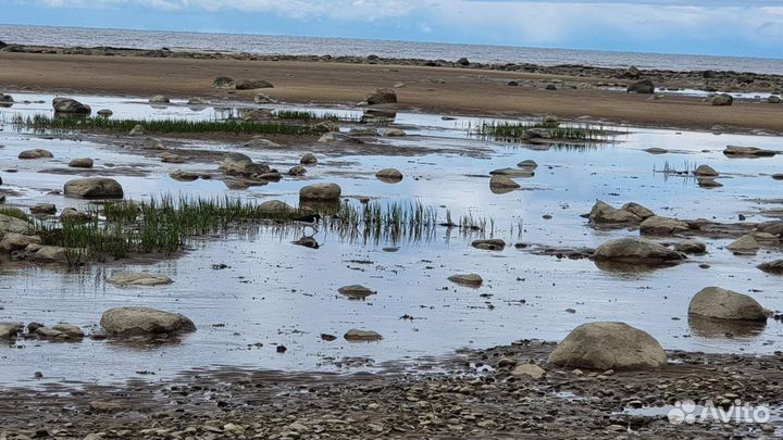 Машинка на радиоуправлении детская