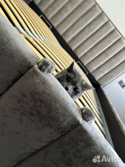 Кровать с подъемным механизмом