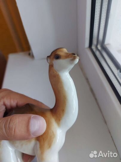 Фарфоровые статуэтки верблюд лфз