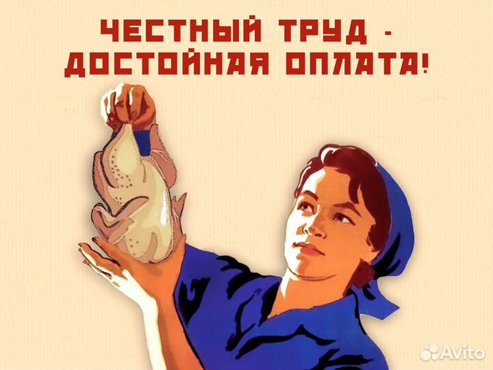 Разнорабочие на птицефабрику