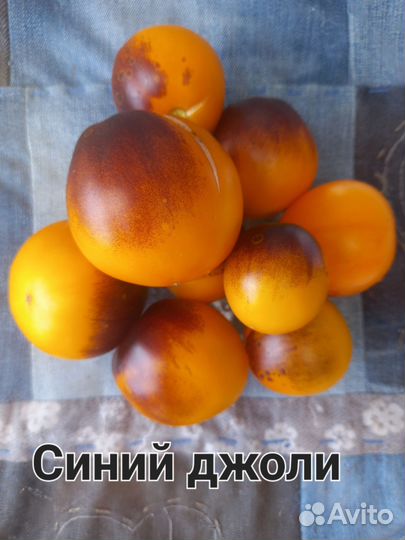Семена сортовых коллекционных томатов