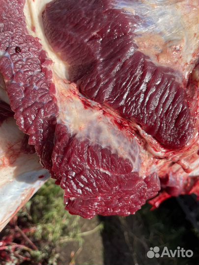 Мясо говядина(телятина)