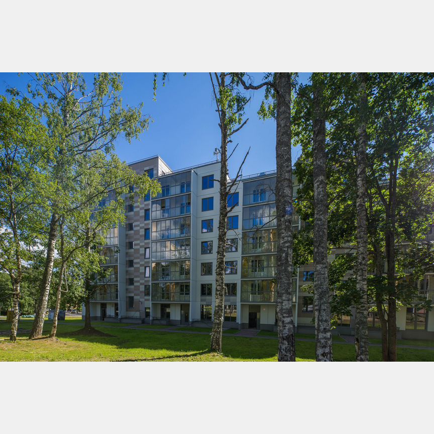 3-к. квартира, 131,8 м², 1/8 эт.
