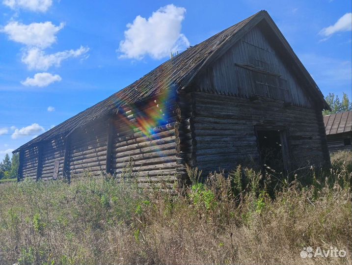 Сруб дома из бревна