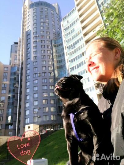 Выгул собак Выгульщик Удельная