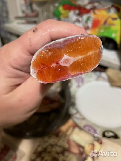 Форель свежая