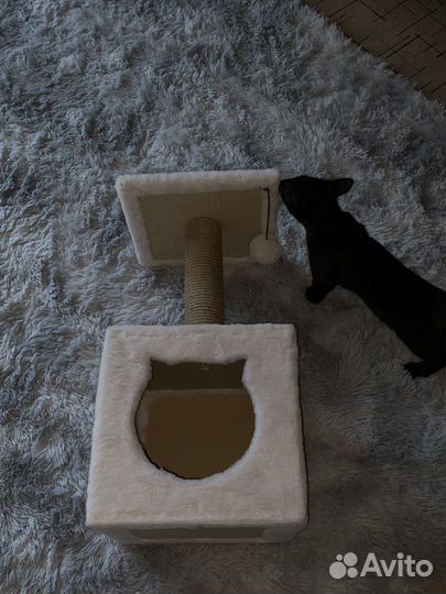 Когтеточка с домиком для кота