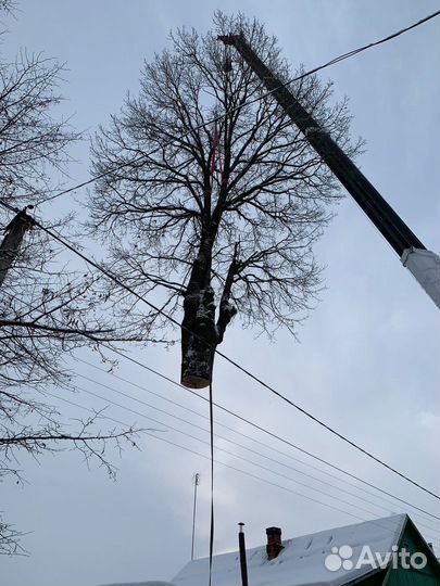 Спил аварийных деревьев