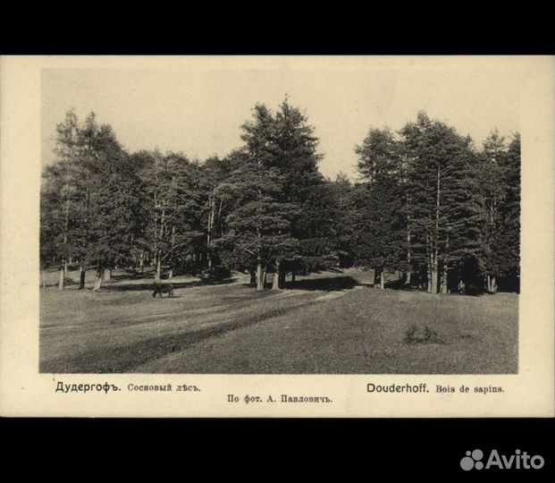 Окрестности Санкт-Петербурга. Часть 8. Дудергоф
