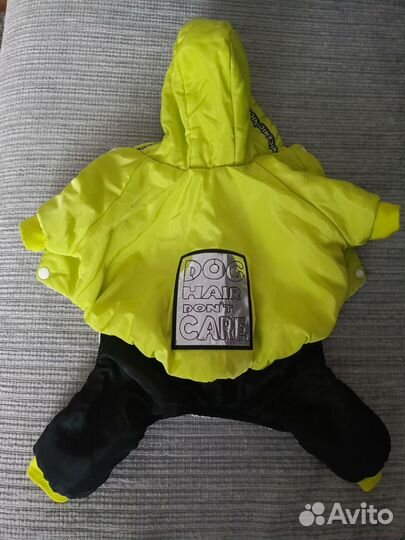 Одежда для собак мелких пород