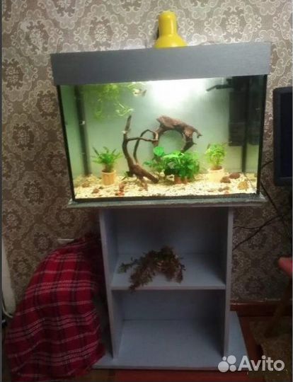 Аквариум. Бонсай, грунт, фильтр FAN-3 plus