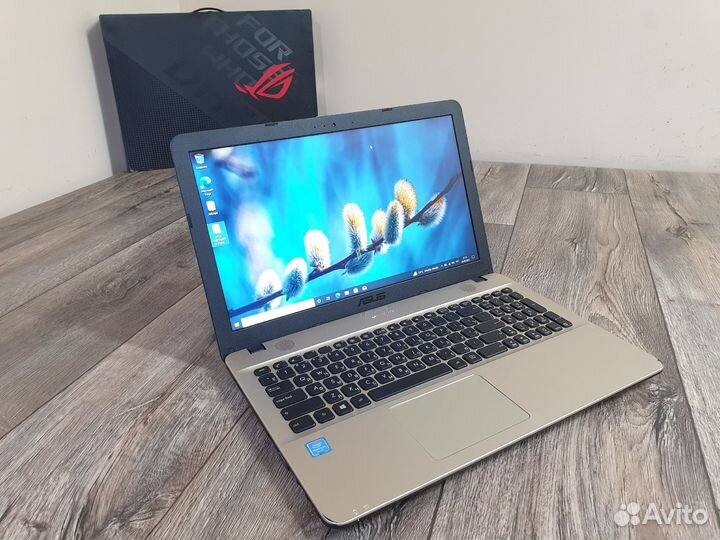 Asus для дома и учебы