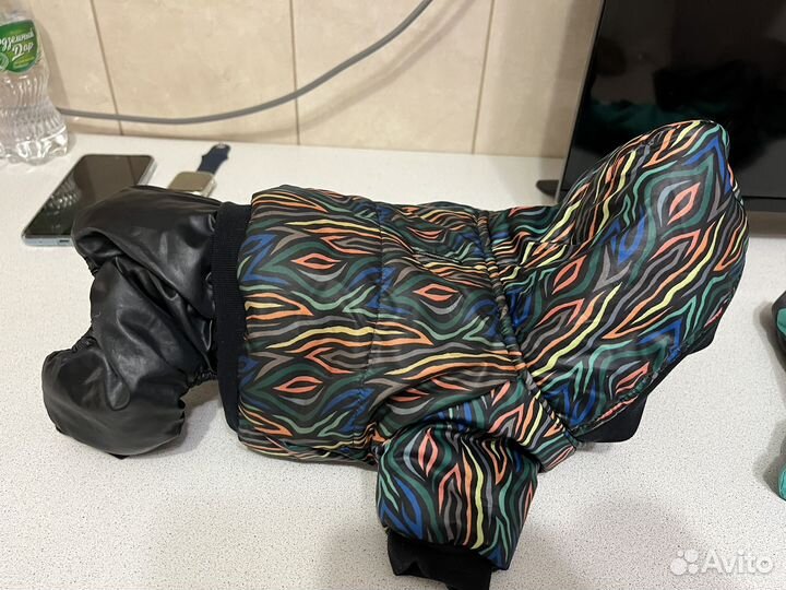 Одежда для собак