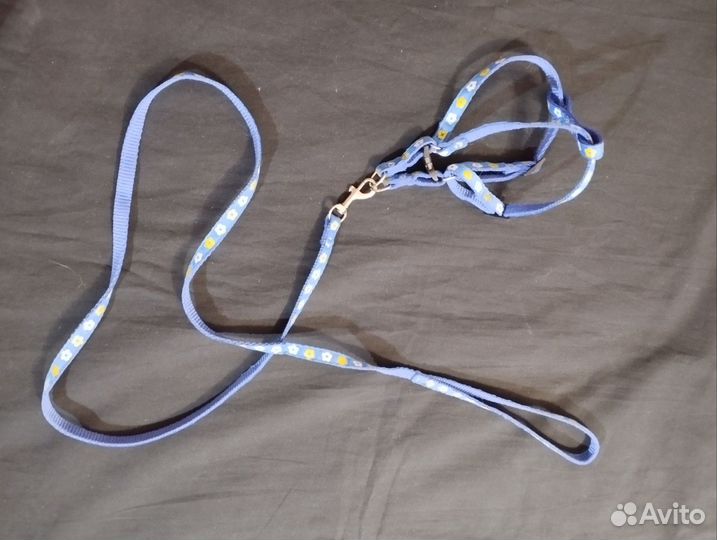 Поводок - шлейка для кошек и собак мелких пород