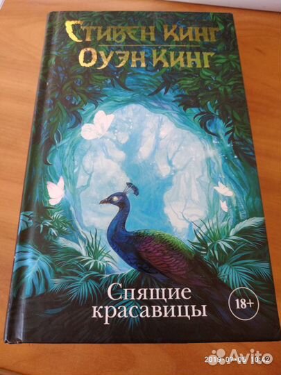 Стивен Кинг Спящие красавицы