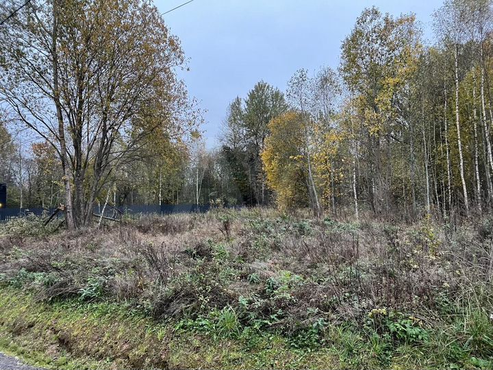 Участок 12,5 сот. (СНТ, ДНП)