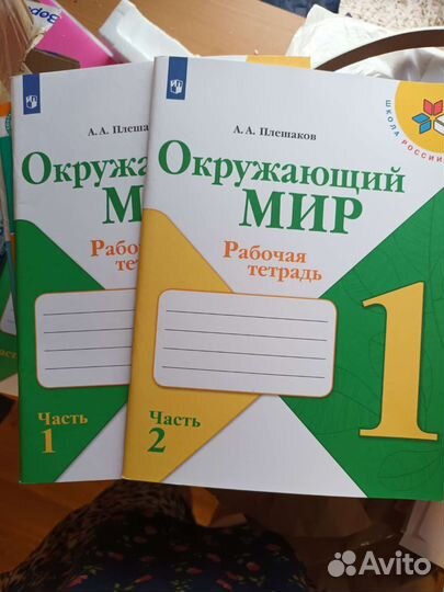 Рабочая тетрадь Окружающий мир 1 класс Плешаков