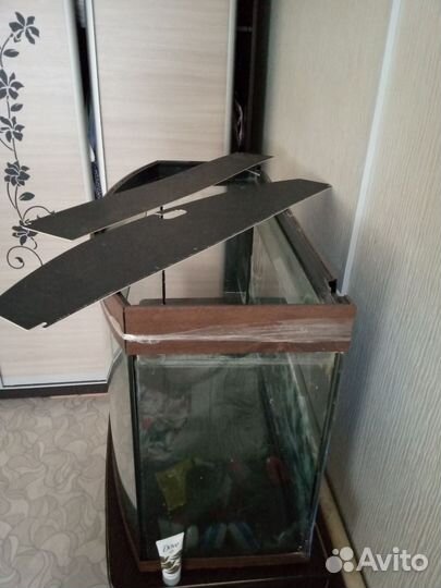 Аквариум